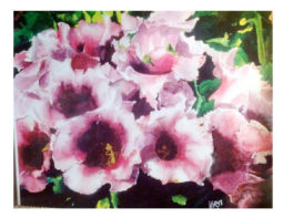 Blossom II